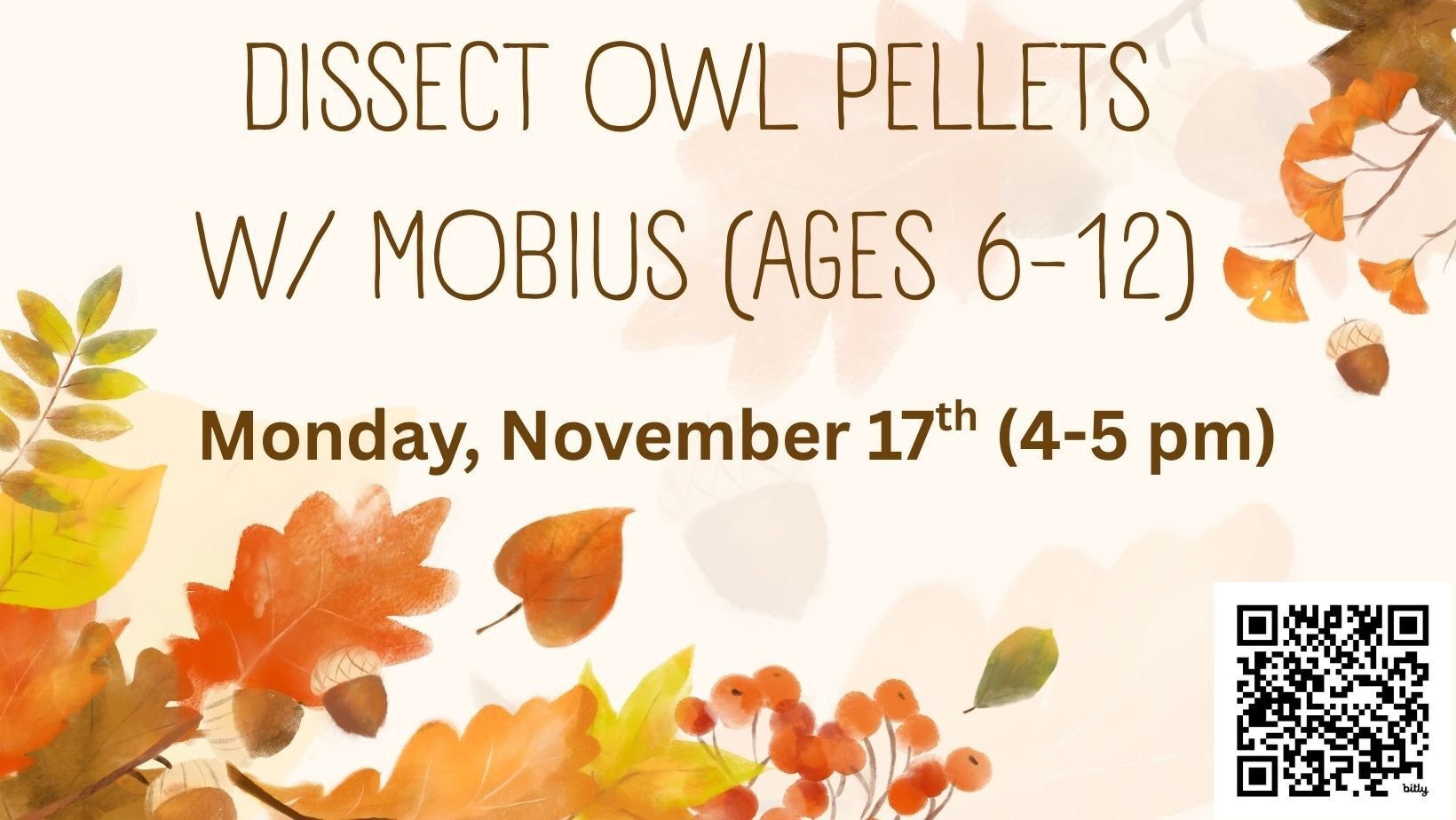 owls